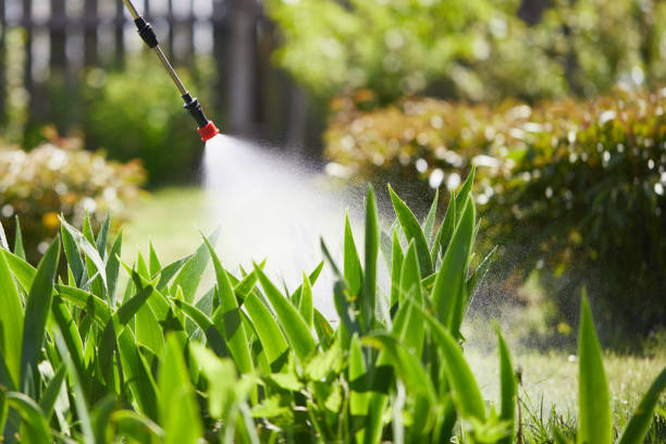 24/7 Emergency Fumigation Services experts in Lexington, NE