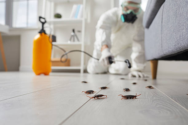 Trusted Fumigation Services service in Lexington, NE - Nex Pest Control